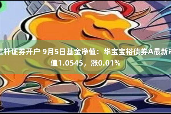 杠杆证券开户 9月5日基金净值：华宝宝裕债券A最新净值1.0545，涨0.01%