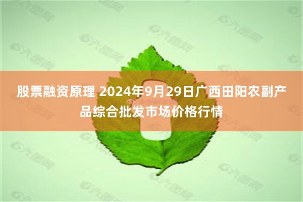 股票融资原理 2024年9月29日广西田阳农副产品综合批发市场价格行情