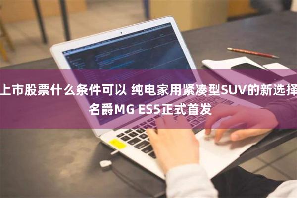 上市股票什么条件可以 纯电家用紧凑型SUV的新选择 名爵MG ES5正式首发