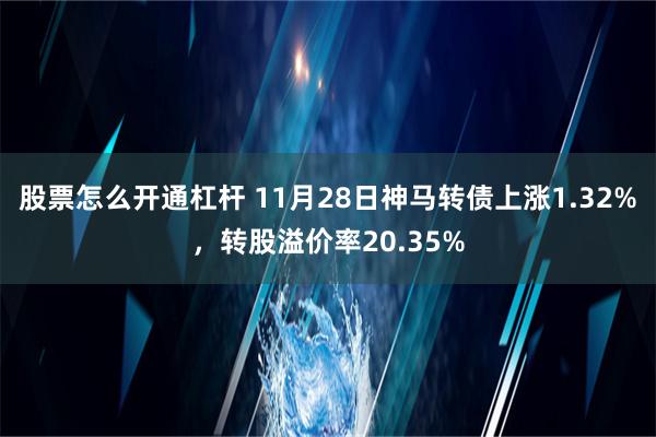 股票怎么开通杠杆 11月28日神马转债上涨1.32%，转股溢价率20.35%