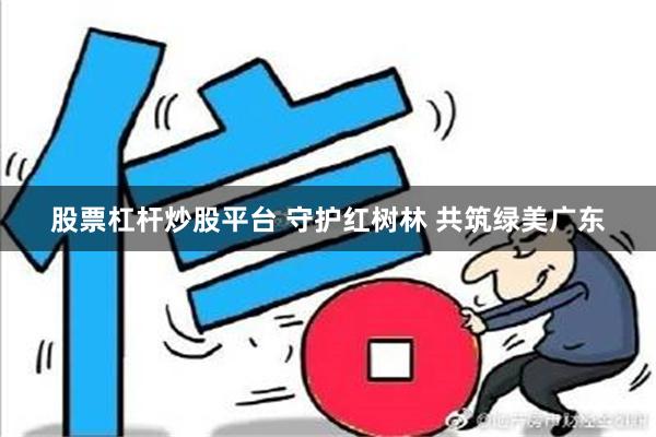 股票杠杆炒股平台 守护红树林 共筑绿美广东